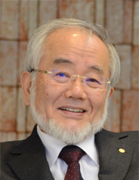 Yoshinori Ohsumi, Ph.D.