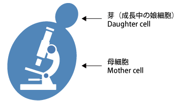 ロゴについて